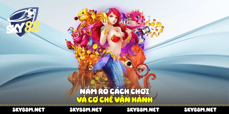 Nắm rõ cách chơi và cơ chế vận hành